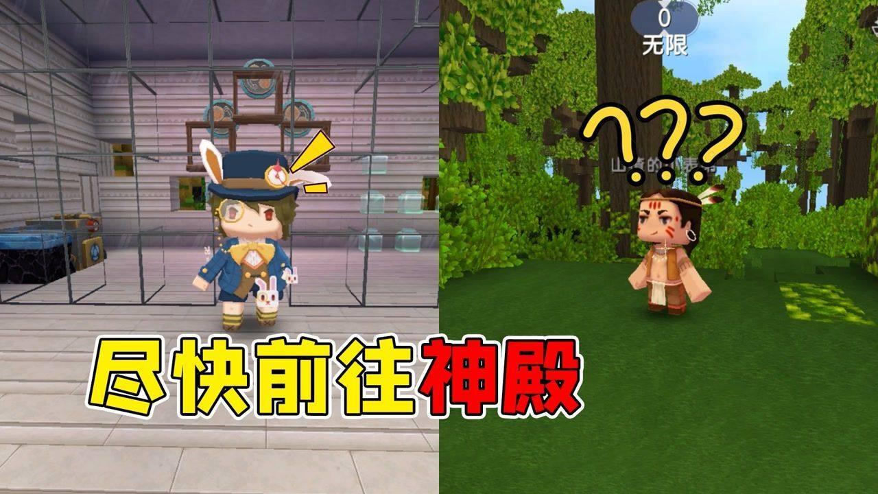 文竹如何修剪呢?-专业有问必答平台